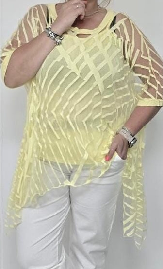 2 Piece Sheer Top